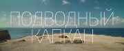 Подводный капкан / The Dive (2023) WEB-DL 1080p от селезень | D | Локализованная версия