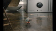 Марсель, ракушка в ботинках / Marcel the Shell with Shoes On (2021) BDRemux 1080p от селезень | D