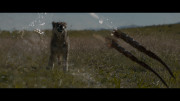 Добыча / Prey (2022) UHD BDRemux 2160p от селезень | 4K | HDR | D, P, A