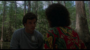 Болотная тварь / Swamp Thing (1982) UHD BDRemux 2160p от селезень | 4K | HDR | Dolby Vision Profile 8 | Unrated Cut | P