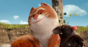nrS3y.jpg