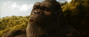 Годзилла и Конг: Новая империя / Godzilla x Kong: The New Empire (2024) UHD WEB-DL 2160p от селезень | 4K | HDR | HDR10+ | D