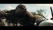 Планета обезьян: Новое царство / Kingdom of the Planet of the Apes (2024) UHD BDRemux 2160p от селезень | 4K | HDR | D | MovieDalen