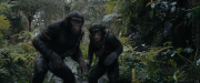 Планета обезьян: Новое царство / Kingdom of the Planet of the Apes (2024) UHD BDRip 1080p от селезень | D