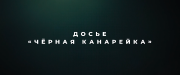Досье «Чёрная канарейка» / Canary Black (2024) WEB-DL 1080p от селезень | D | Локализованная версия