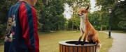 Die.Schule.der.magischen.Tiere.BDRip.1080p.seleZen.mkv snapshot 00.33.40.023