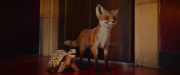 Die.Schule.der.magischen.Tiere.2021.mkv 20220830 130706.444