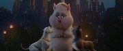 DC.League.of.Super Pets.2022.WEB DL.2160p.HDR.seleZen.mkv snapshot 00.39.25.780