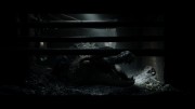 Crawl.2019.BDREMUX.2160p.HDR.DVP8.seleZen.mkv snapshot 00.21.54.355